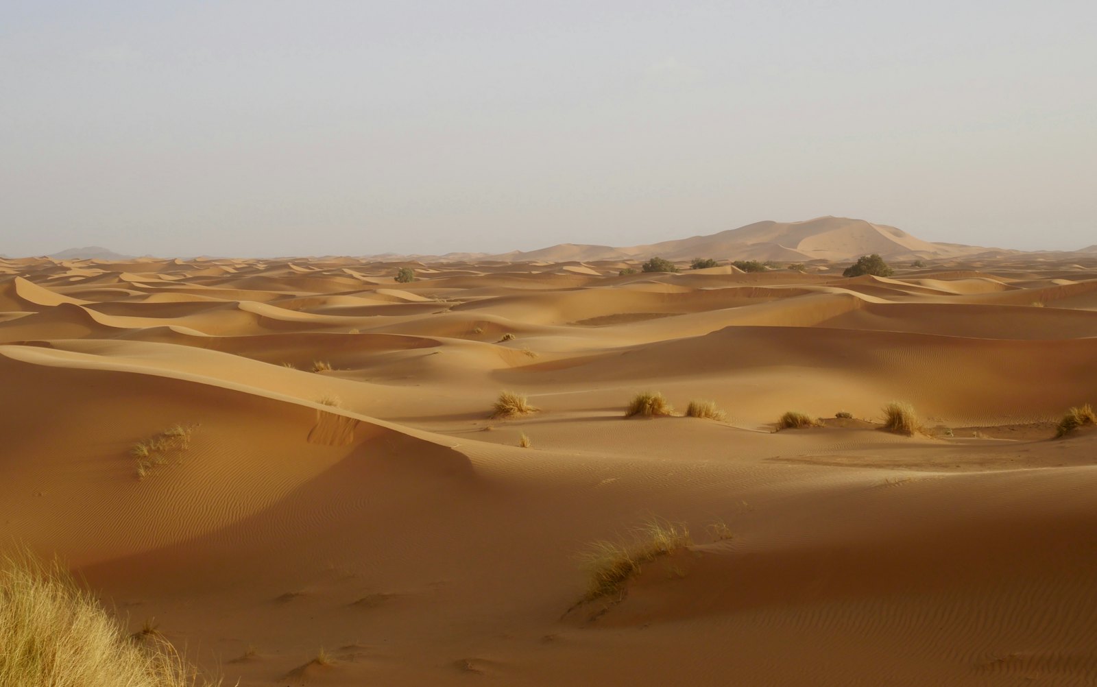Les grandes dunes de l'Erg Chebbi, à Merzouga
